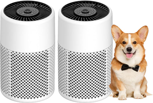 GHLLW 2-Pack Compact HEPA Air Purifiers with Night Lights